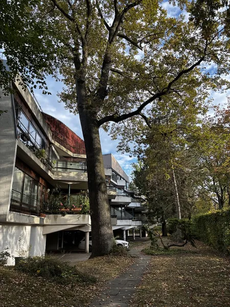 Helle 2-Zimmer-Wohnung im grünen Lankwitz – Baller-Architektur — photo 1